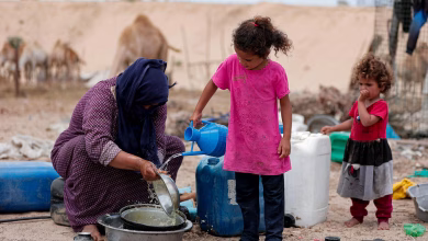 واحة الأحساء في السعودية مع بساتين نخيل كثيفة ومواقع تراث اليونسكو و